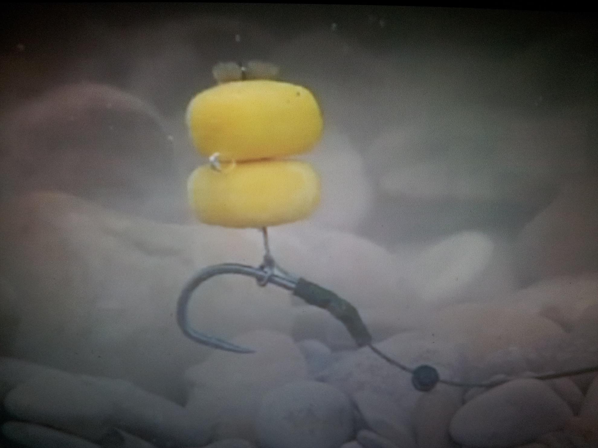 Monturi - 20130312193227.jpg